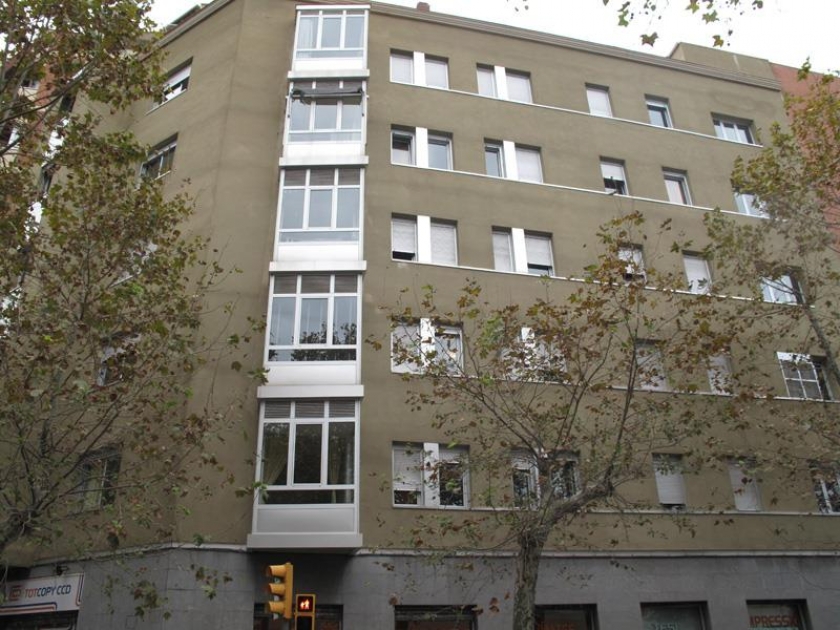 cerdenya-5.jpg